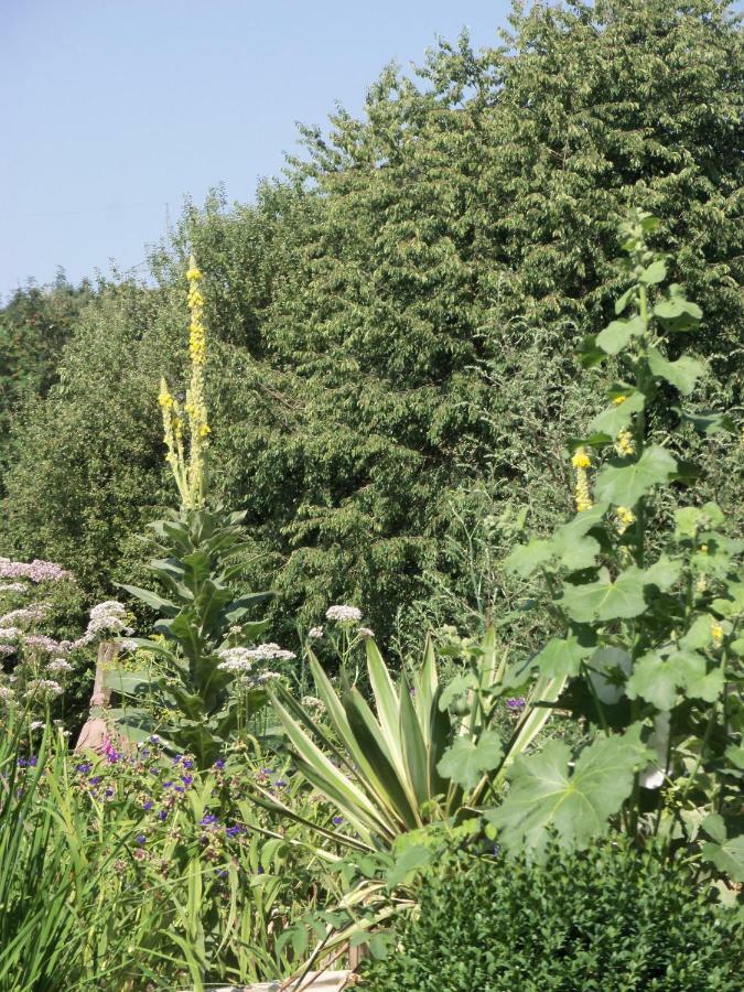 Kleine Villa Im Wilden Garten กุมเมอร์สบาค ภายนอก รูปภาพ